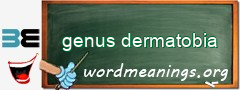 WordMeaning blackboard for genus dermatobia